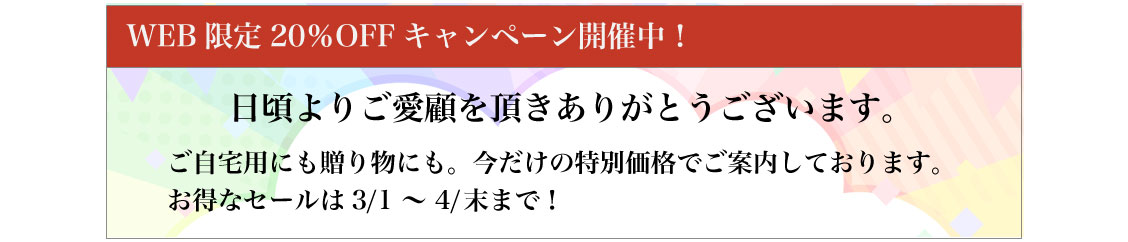 WEB限定キャンペーン開催中
