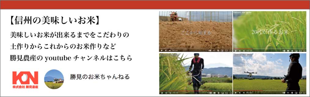 youtubeリンク画像