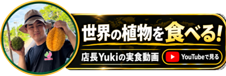 世界の植物を食べる！ 店長Yukiの実食動画