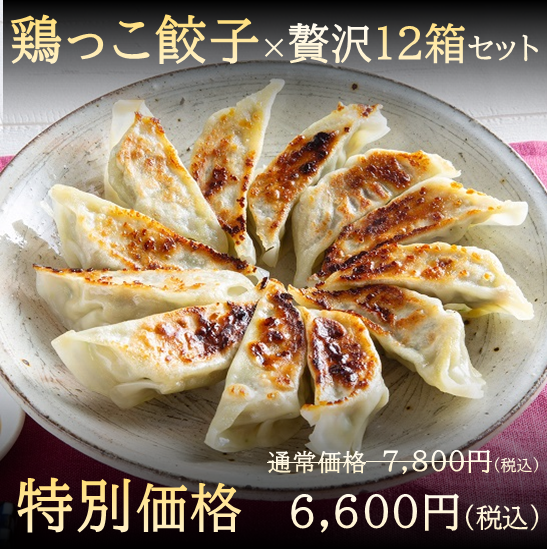 餃子12箱セット