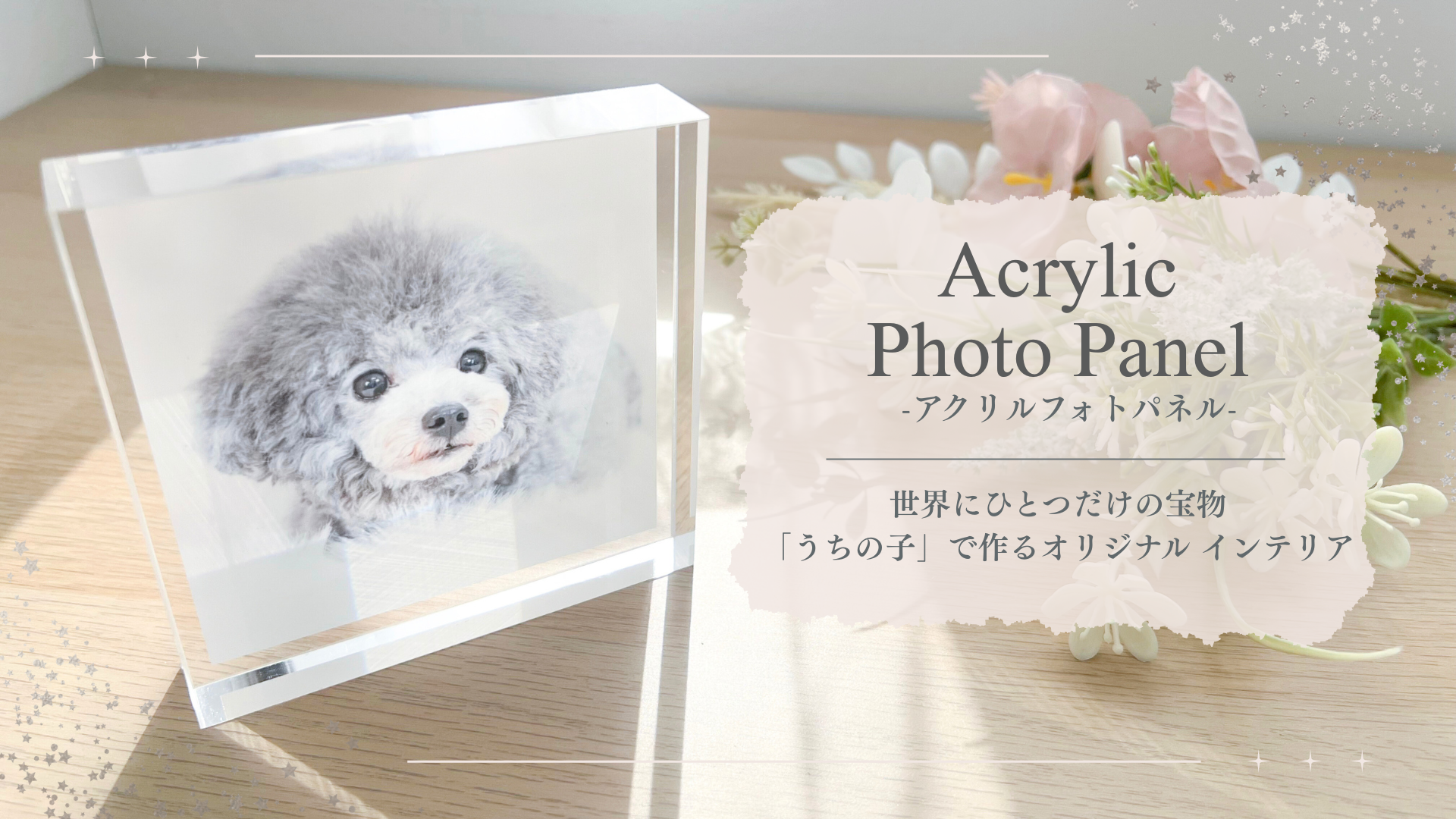 ペットの写真をフォトパネルに