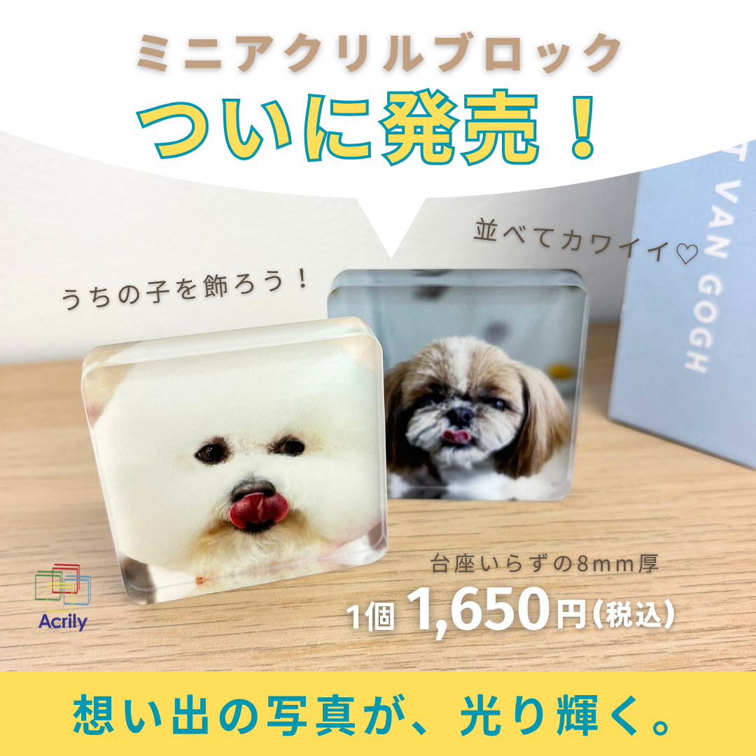 写真でアクリルフォトパネル・フォトプレートはAcrily(アクリリ)【公式