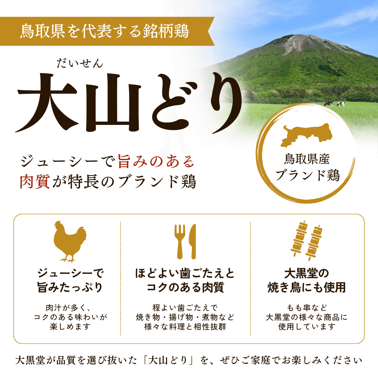 Ļ�踩�������� �绳�ɤ����ħ