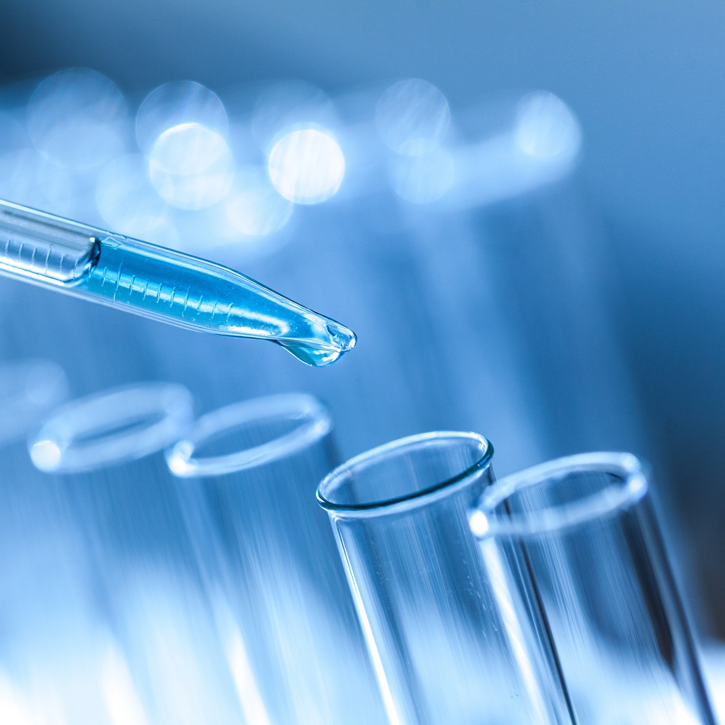 高分子エラスチン（独占成分）