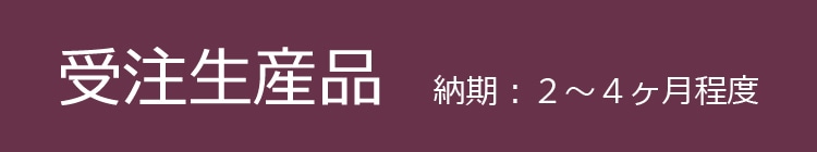 社交ダンスシューズ MDS 受注生産。お届けまで所定の日数がかかります。ダンスシューズ通販ですので、万が一のダンスシューズサイズ交換にそなえて、余裕を持ってご注文下さい。クッションダンスシューズ MAJEST マジェストの通信販売を是非ご利用下さい。