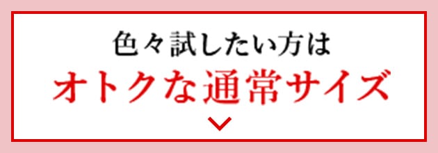 お得な通常サイズ