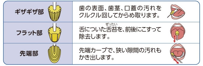 ギザギザ部・フラット部・先端部の説明