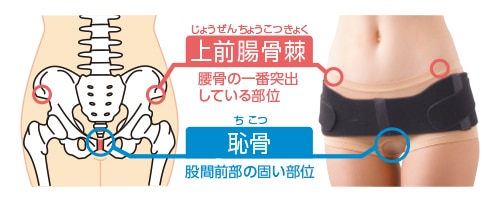 オオサキメディカル dacco キュッとベルトD