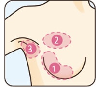 貼付位置：乳房の外縁部・乳房の上部・脇の下