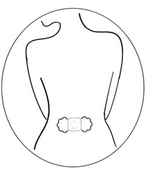 Rosi(R)フラワーパッド