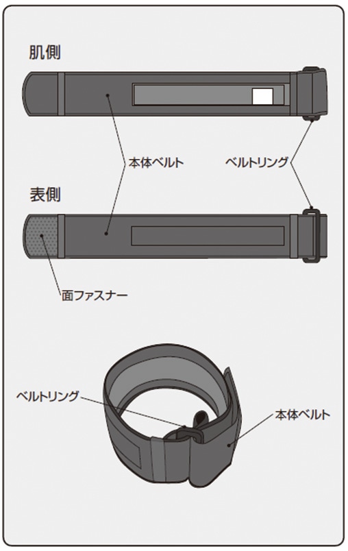 各部の名称（肌側・表側）