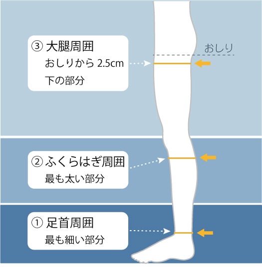 着圧ソックス：正しいサイズの測り方