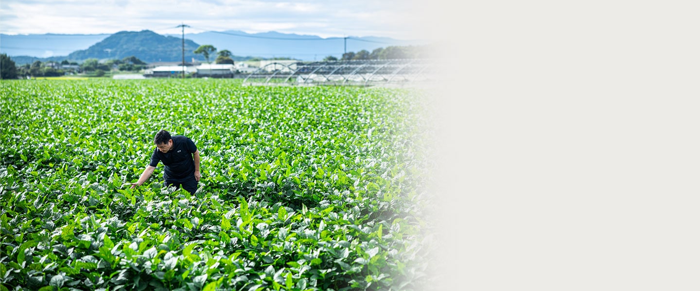 プライバシーポリシー