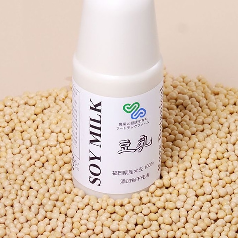 Additive-Free Soy Milk