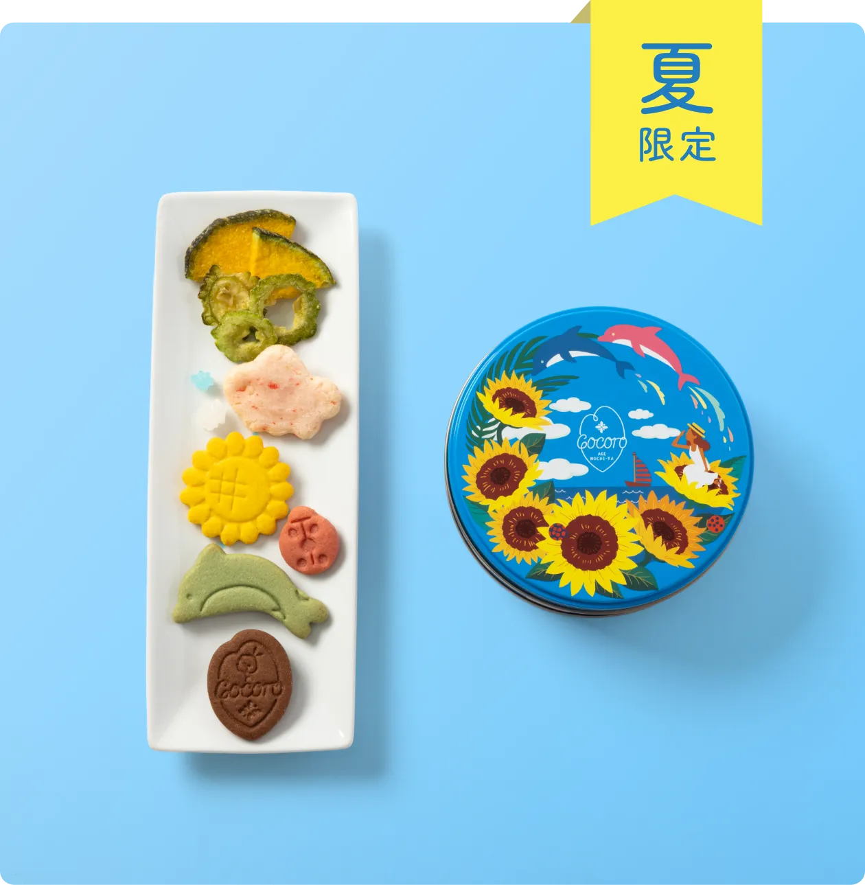 ミニ缶 夏Cocoro