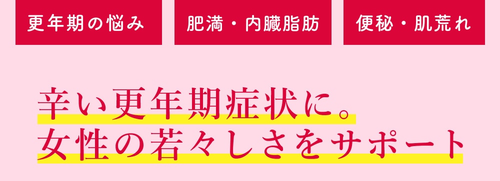 �ɤ���ǯ���ɾ��ˡ������μ㡹�����򥵥ݡ���