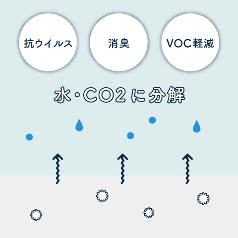 ���ꥹ�Ȳù�