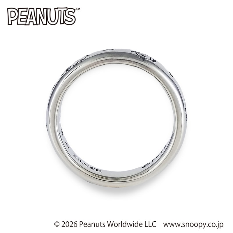 Peanuts���̡��ԡ��֥饶���ե���������С����10