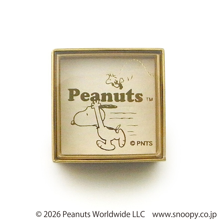 Peanuts���̡��ԡ��֥饶���ե���������С��������BOX