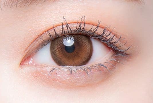 シークレットベア目