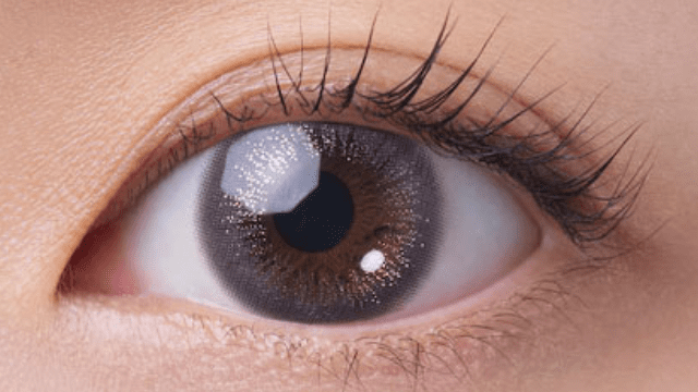 シリウスミスティ