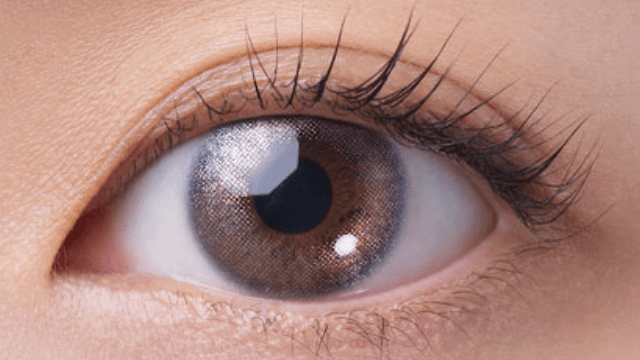 ホログラムシェル