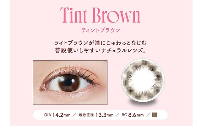 ティントブラウン、商品詳細