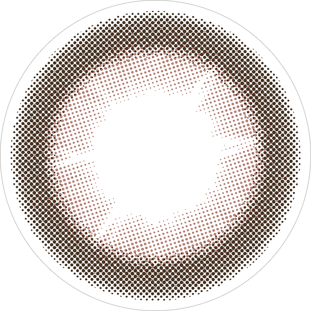 ショコラブラウン写真