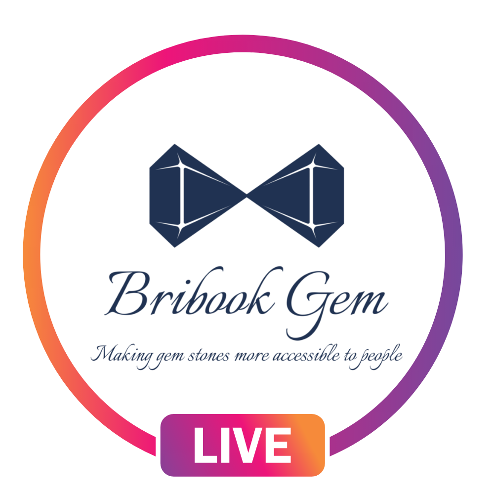 BribookGem