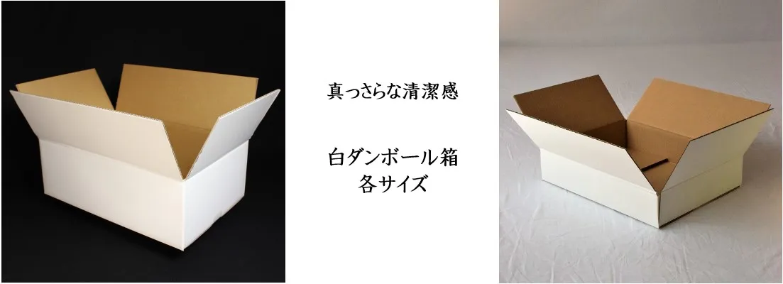 ネコポス 箱 3cm A4 200枚 (308mm×220mm×28mm) | 日本製ダンボール箱,ネコポス | 愛パック ダンボール 段ボール 箱  公式販売サイト