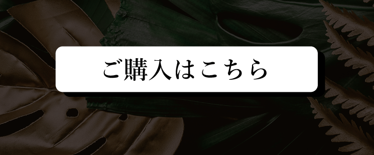 ご購入はこちら
