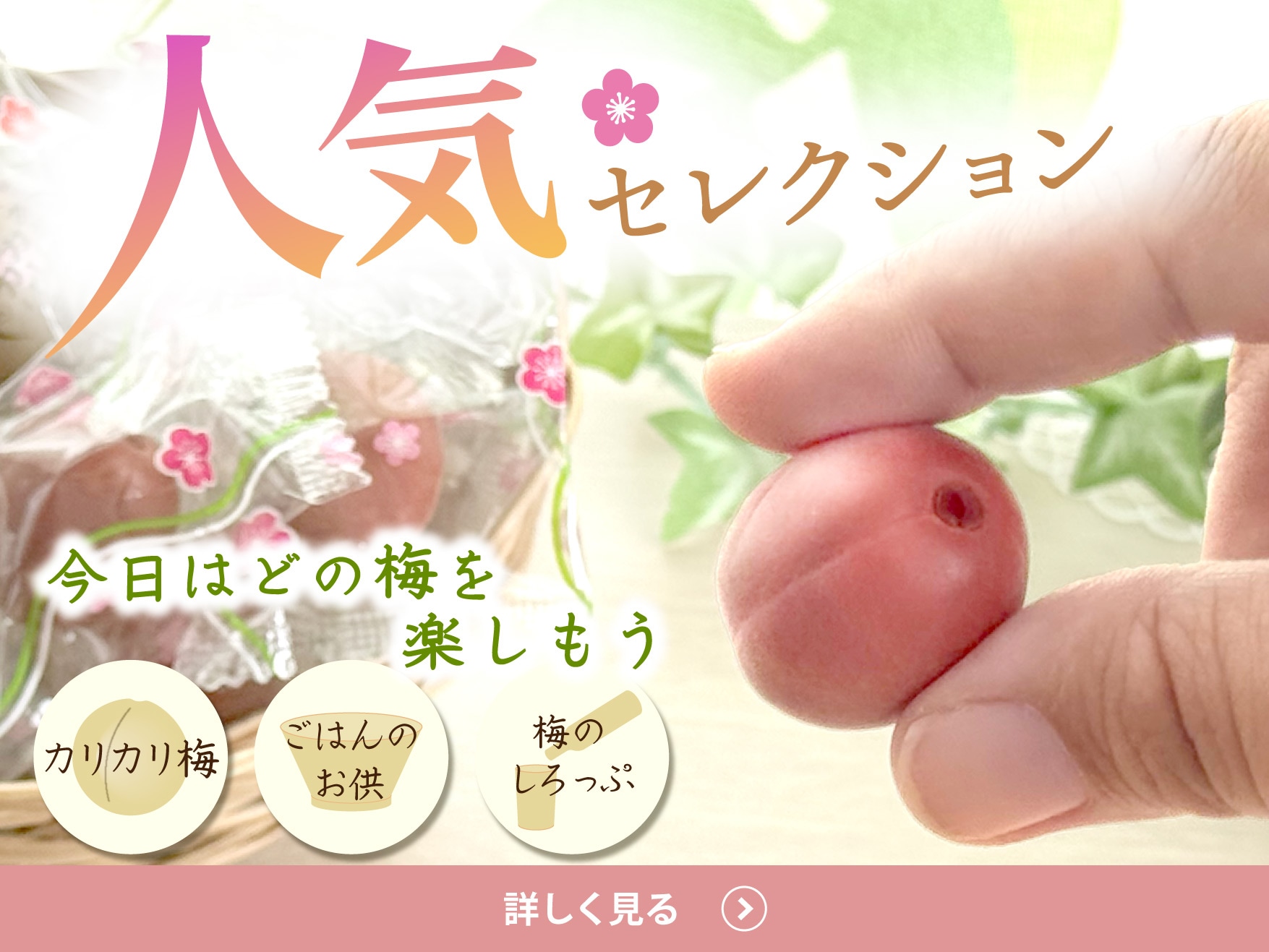 人気セレクション