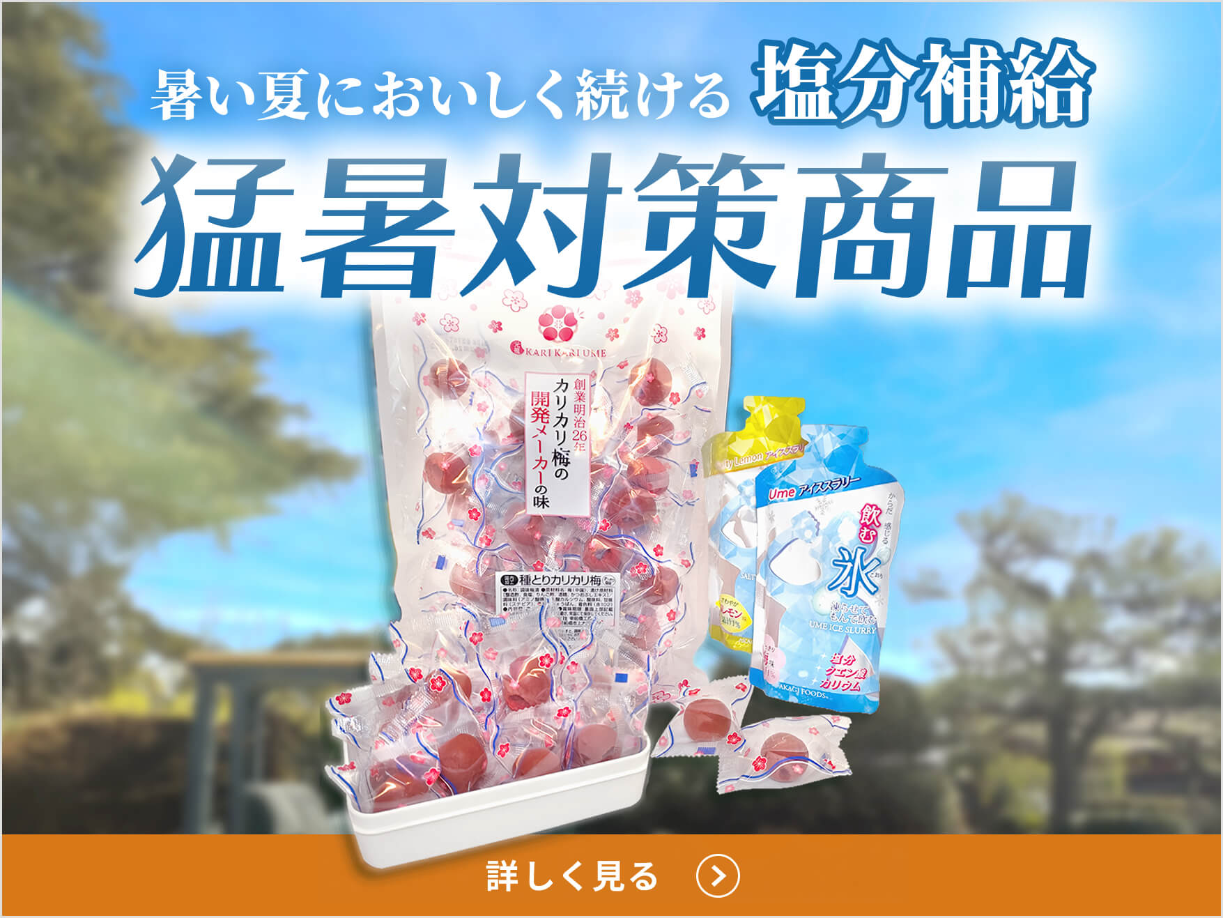夏季限定-猛暑対策商品