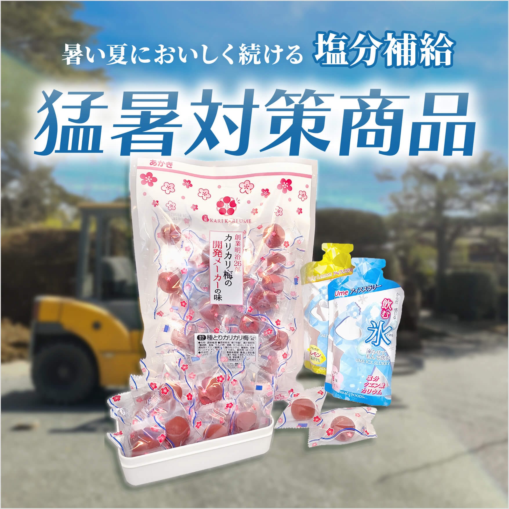 夏季限定-猛暑対策商品