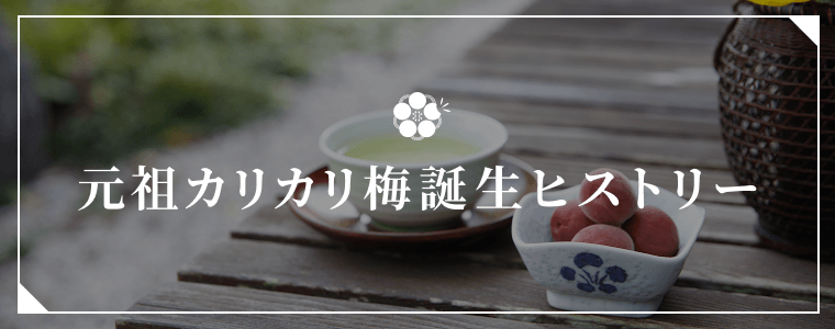 元祖カリカリ梅誕生ヒストリー