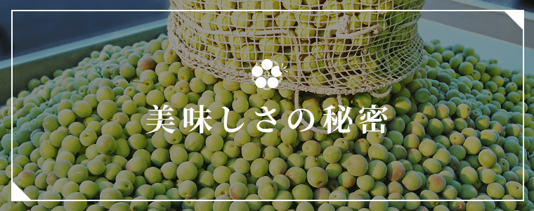 美味しさの秘密