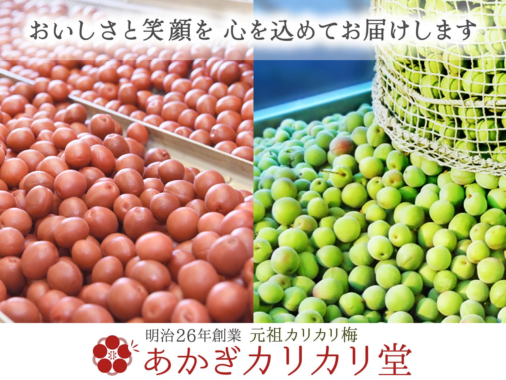 あかぎカリカリ堂