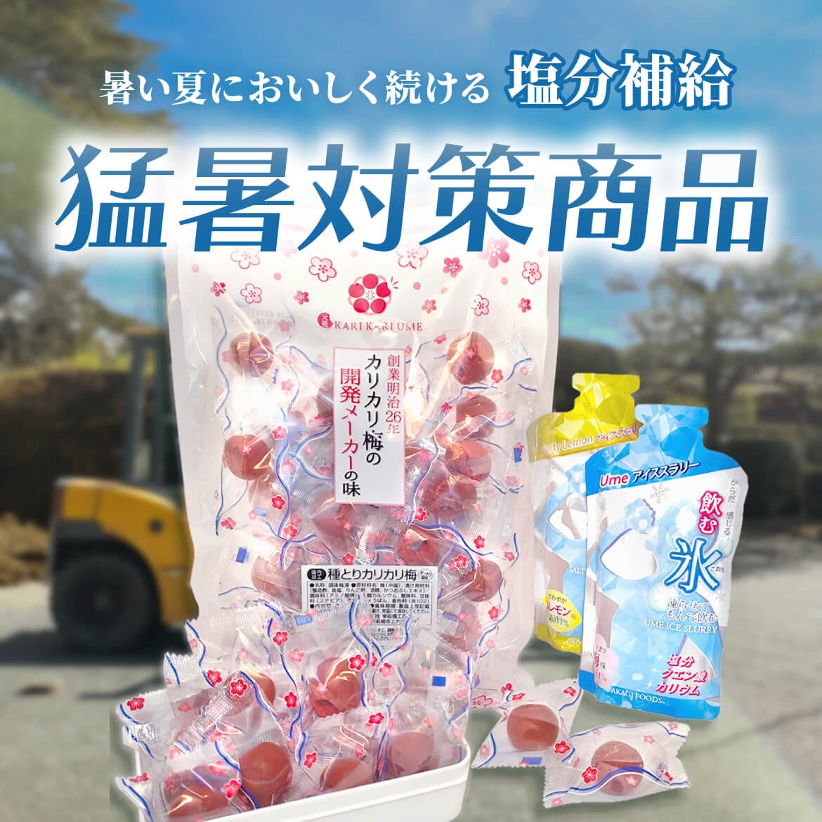 猛暑対策商品