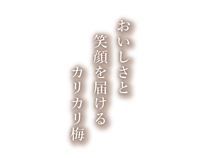 カリカリ梅の通販なら あかぎカリカリ堂 元祖カリカリ梅の開発メーカー