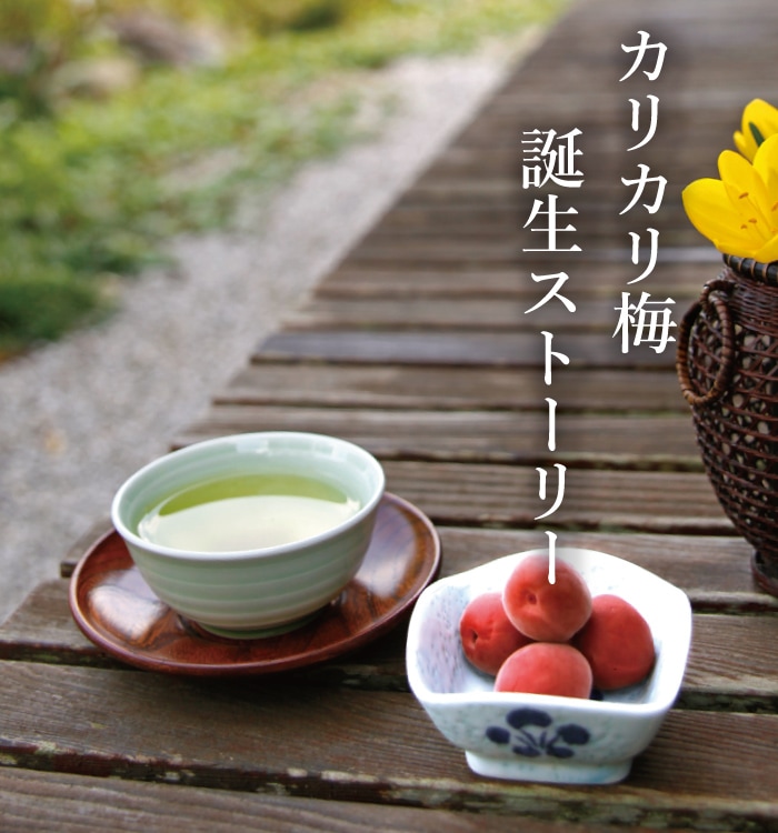 カリカリ梅誕生ストーリー