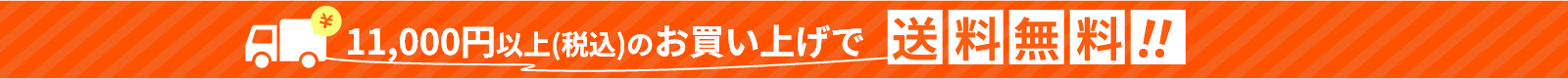 11,000円以上(税込)のお買い上げで送料無料