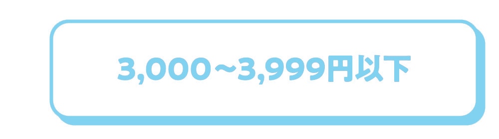 3,000~3,999円以下