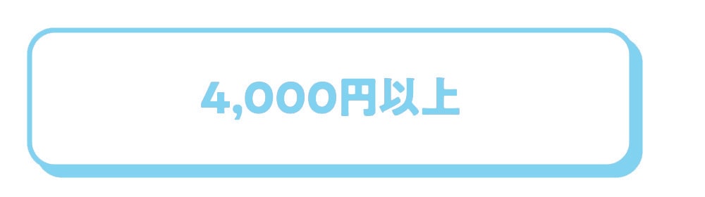 4,000円以上