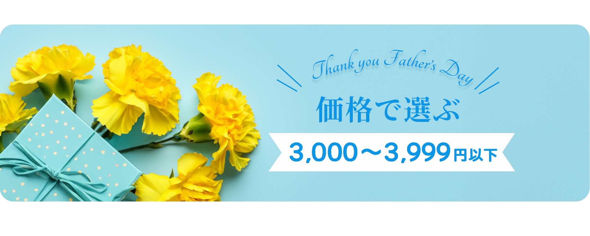 価格で選ぶ3,000~3,999円以下