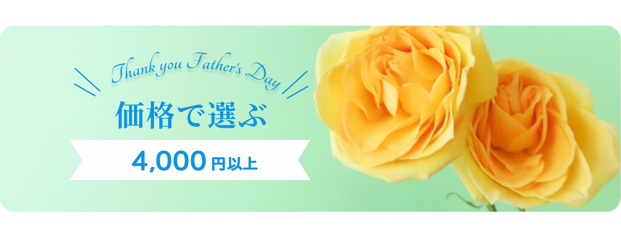 価格で選ぶ4,000円以上