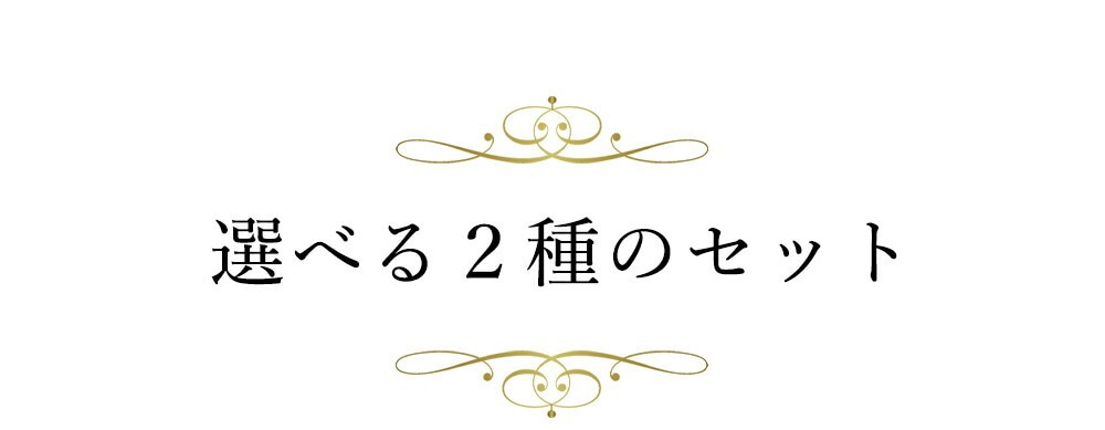 選べる二種のセット
