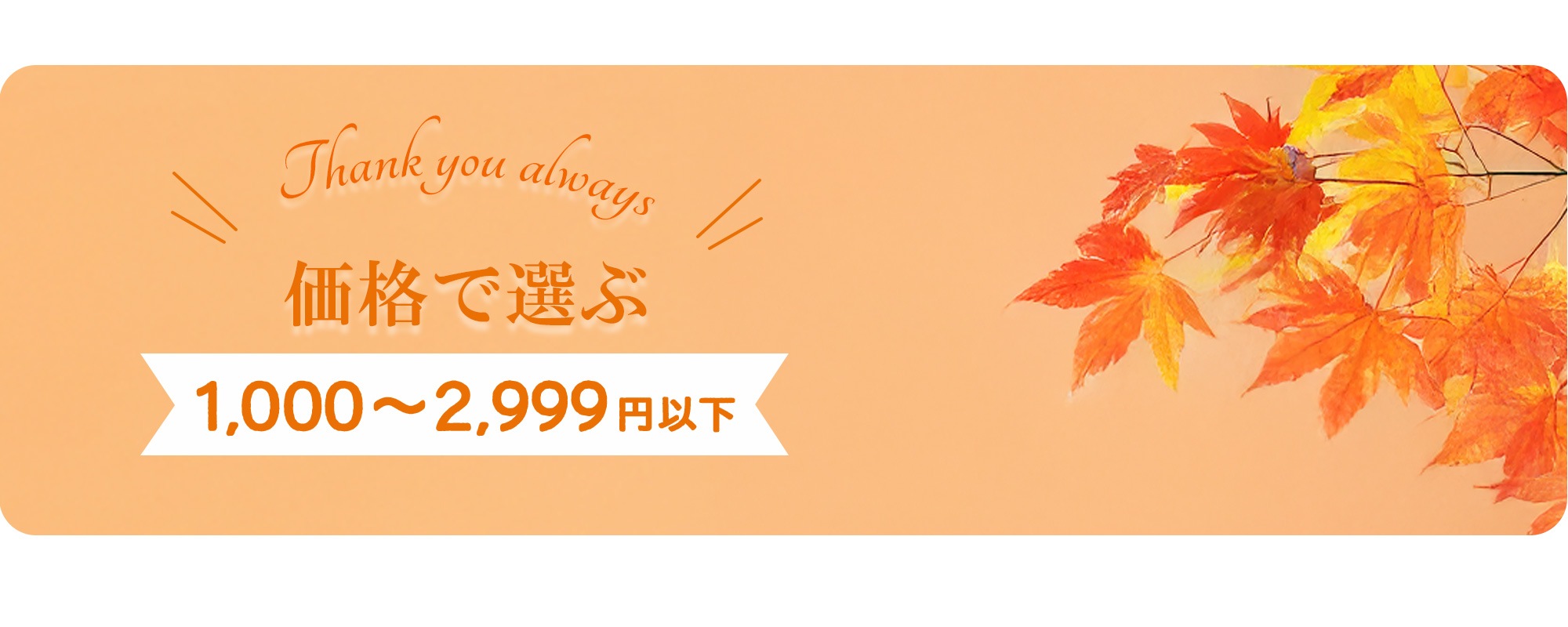 価格で選ぶ1,000～2,999円以下