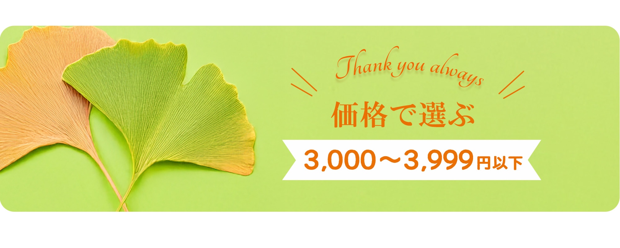 価格で選ぶ3,000～3,999円以下