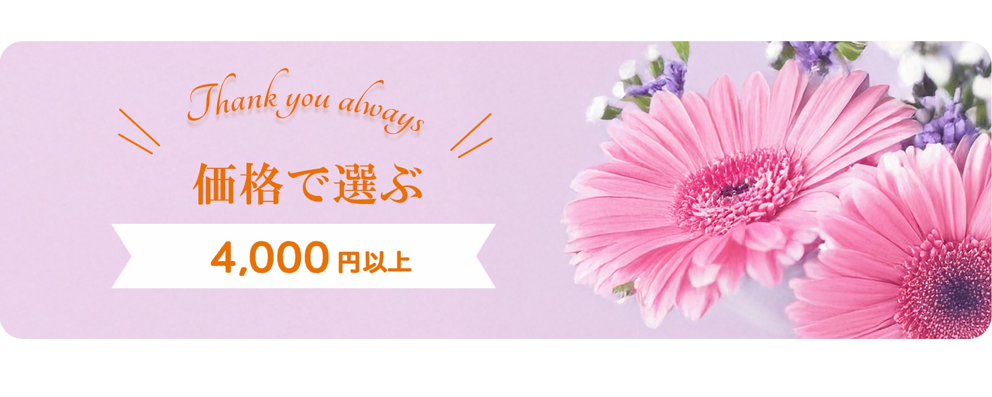 価格で選ぶ4,000円以上