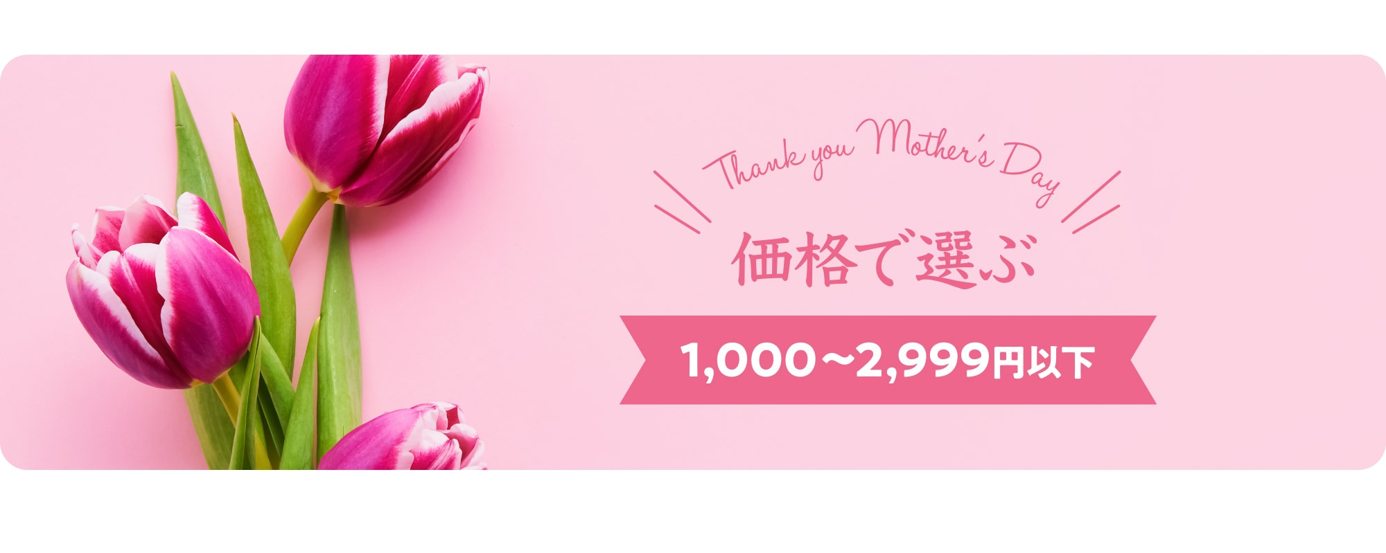 価格で選ぶ1,000～2,999円以下